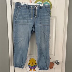 American Eagle Outfitters Light Wash Straight Leg Jeans with Drawstring